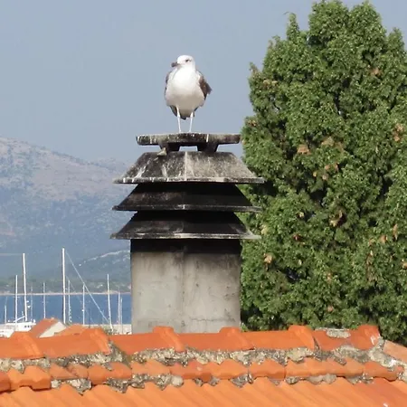 Apartmán Branimir
